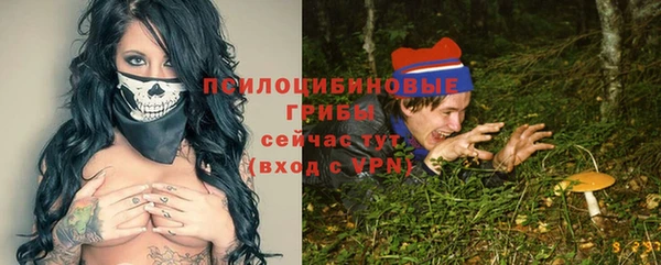 а пвп мука Бугульма