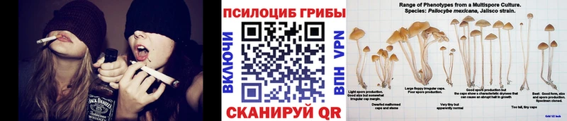 Псилоцибиновые грибы GOLDEN TEACHER  MEGA ONION  Качканар 