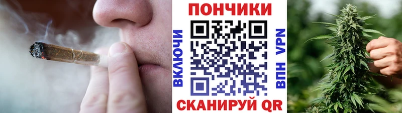 наркошоп  MEGA ТОР  МАРИХУАНА AK-47  сайты даркнета состав  Качканар 